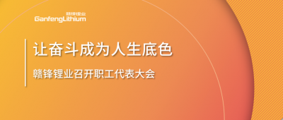 贛鋒鋰業(yè)召開職工代表大會(huì) 堅(jiān)持向奮斗者傾斜更多資源